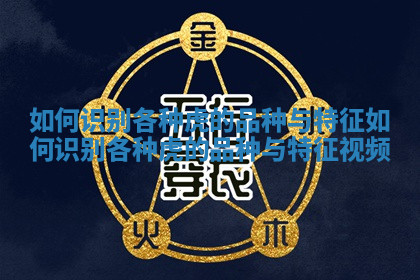 如何识别各种虎的品种与特征_如何识别各种虎的品种与特征视频