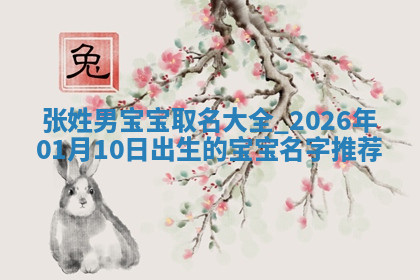 张姓男孩子取名