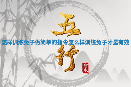 怎样训练兔子做简单的指令_怎么样训练兔子才最有效