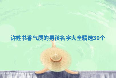 许姓书香气质的男孩名字