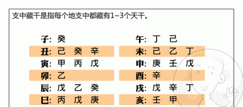 八字如何看旺弱(一个人的八字旺弱怎么看)