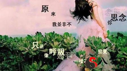狮子座的你孤单吗？