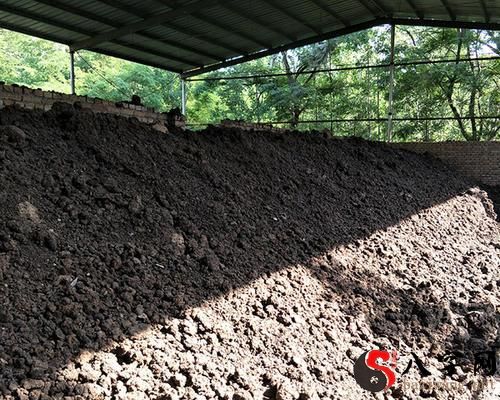 梦见泉水有羊粪