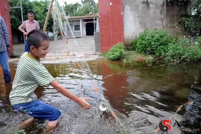 梦见路上发大水