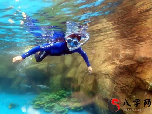 梦见大海潜水