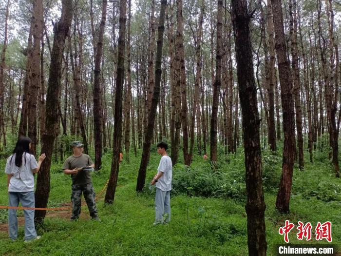 赛博体育广西万亿元绿色产业让林业专业学生供不应求(图1)