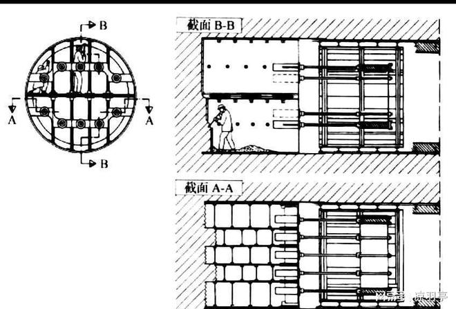 船蛆的身体构造到底有多奇特？又是如何破坏木材的？(图3)